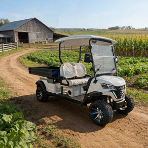 Custom-made Electric Golf Car Electric Golf <b>Tool</b> <b>Cart</b> Club Car for and Sightseeing Mini Electric Golf <b>Carts</b> - Product Image 4