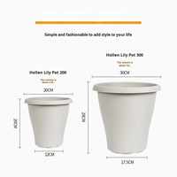 Pot de fleurs en plastique de style pastoral, jardinière en plastique pour bulbes de lys, conteneur à fleurs bicolore pour cour, balcon, usage intérieur