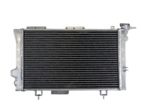 Nouveau Radiateur de Performance 2 RANGÉES 100% Aluminium pour Renault 4L 4 R4 Gros Volume Trophy avec 1 An de Garantie