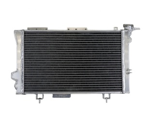 Nuevo Radiador de Alto Rendimiento de 2 Filas 100% Aleación de Aluminio para <span class=keywords><strong>Renault</strong></span> 4L 4 <span class=keywords><strong>R4</strong></span> Gros Volume Trophy con 1 Año de Garantía - Product Image 3