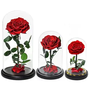 Valentines day gift 2024 preserved roses Glass Rose High Quality Real Natural Preserved Roses For women and girls