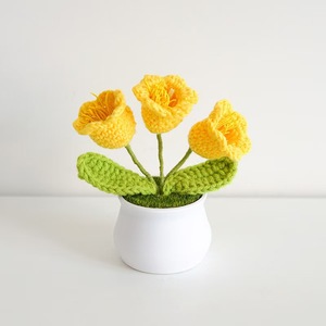 <span class=keywords><strong>Kit</strong></span> de Flores de Ganchillo de Cachemira Hechas a Mano al por Mayor de Fábrica, Juguete de Ganchillo Amigurumi <span class=keywords><strong>para</strong></span> Principiantes, Regalo de Graduación - Product Image 4
