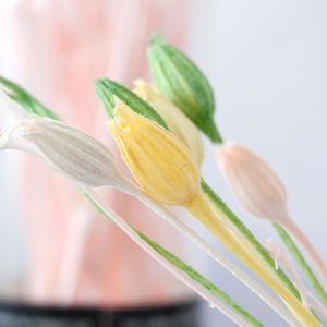 Carillon à vent naturel en forme de fleur et de fruit, artisanat, assorti d'un arrangement floral en bouteille flottante en herbe - Product Image 2