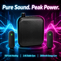 Haut-parleur Bluetooth portable étanche pour extérieur, mini-mégaphone, amplificateur vocal sans fil, haut-parleur de fête, équipement de sonorisation karaoké