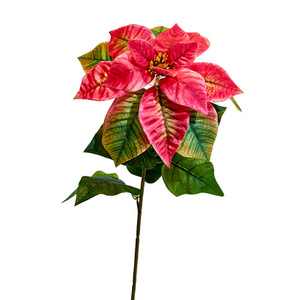 Spectacle de simulation de fleurs de Noël poinsettia Fleur de Noël décoration de mariage fleur de simulation - Product Image 6