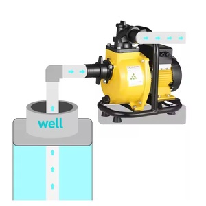 RisesSolar 750w <b>Solar</b> Powered Water <b>Pump</b> <b>Solar</b> Surface <b>Pump</b> With MPPT Controller Brushless Centrifugal <b>Pump</b> for Agriculture RSCQ - Product Image 4
