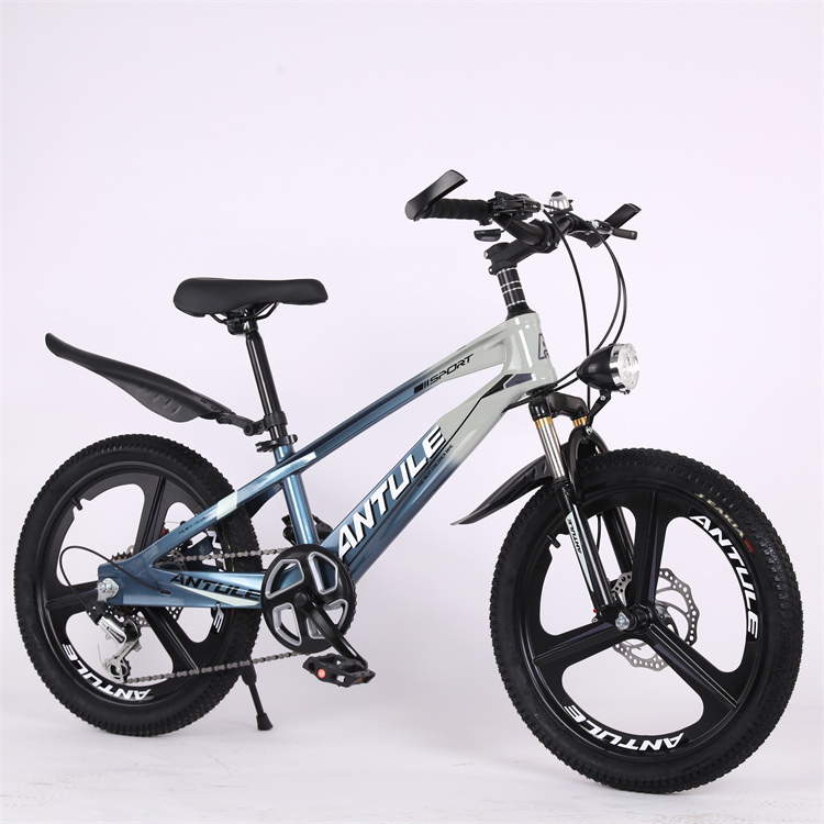 Royal Baby Bike Children Bicycles Wholesale OEM