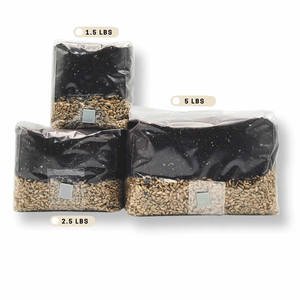 ถุงเพาะเห็ด PP แบบกำหนดเองพร้อมแผ่นกรองและช่องฉีดสำหรับการปลูกต้นเห็ด - Product Image 4