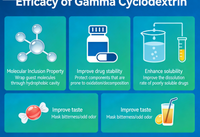 Gamma-cyclodextrine pure à 99 %, CAS 17465-86-0, qualité alimentaire, solubilisant et stabilisant, poudre de gamma-cyclodextrine