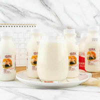 Boisson lactée fermentée aux bactéries lactiques saveur originale avec probiotiques pour la nutrition quotidienne de la famille et la santé intestinale