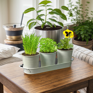 Decorazione funzionale fioriera per interni Kit di <span class=keywords><strong>piante</strong></span> in metallo vaso di fiori per bambini e fiori per casa Set di vasi per erbe - Product Image 5