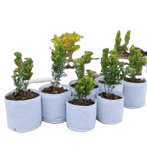 Sacs <span class=keywords><strong>de</strong></span> pépinière Non tissés biodégradables, sacs <span class=keywords><strong>de</strong></span> culture <span class=keywords><strong>de</strong></span> plantes, Pots <span class=keywords><strong>de</strong></span> semis en tissu, plantation bon marché, jardinage, <span class=keywords><strong>sac</strong></span> <span class=keywords><strong>de</strong></span> culture en feutre - Product Image 1