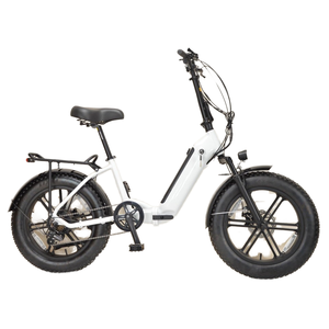 Bicicleta Plegable al por Mayor de 20 Pulgadas, 500W, 48V, 7 Velocidades, Neumático Ancho, Modelo 20EFD7S4 - Product Image 3