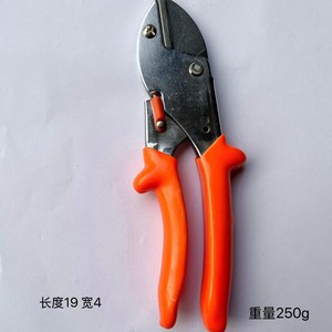 Sécateur de taille de qualité export en acier inoxydable 20-30 mm, outil de jardin rouge pour la taille des arbres fruitiers, des fleurs et des arbustes - Product Image 3