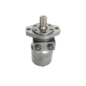 Pompe à moteur hydraulique à port d'extrémité OMS 350200AGI21AAAA - Product Image 5