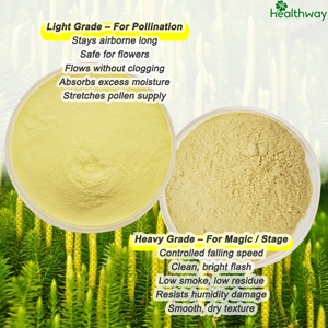 Suministro 100% Natural Licopodium Spore Powder Sinew <span class=keywords><strong>Polen</strong></span> Sinew Lycopodium Spore Powder - Product Image 4