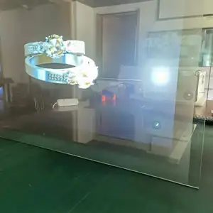China Leverancier 3d Holografische Transparante Rear Projection Film