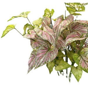 AR-523 zuoyi vải lụa 75cm nhân tạo 3D khoai môn lá cây tía tô lá cây anthurium lá cho kỹ thuật - Product Image 5