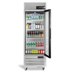 Single Door Upright Freezer Showcase Beverage Glass Door Fridge Commercial Display 27" W Retail Display Freezer