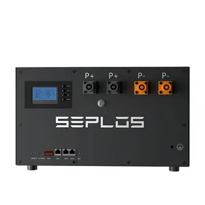 Seplos manufacturer 48V 280ah/300ah/320ah Seplos Mason 280 Battery DIY Kit Mason 280 Boxes Not Include Battery Cells Only Box