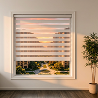 Persiana Zebra Inalámbrica Newhoo de Doble Tono, Translúcida, Ajustable, con Sistema de Bloqueo sin Cordón, para Decoración de Interiores de Hogar y Oficina