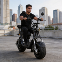 Moto électrique robuste à gros pneus, résistante au boue, avec moteur à moyeu haute puissance 60V, et support robuste
