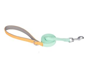 Nuevo diseño Contraste Color Hebilla transparente Mascotas Gato Perro Correas y collares - Product Image 5