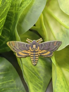 Collection de broches en émail sur le thème des insectes naturels, vente en gros - Product Image 4