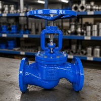 Vanne à soupape à bride en fonte ductile industrielle PN16 DN100 GGG50 pour systèmes de conduites d'eau de refroidissement des aciéries