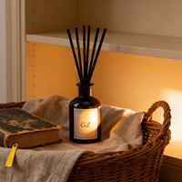 Diffuseur de parfum d'ambiance 50/80/100ml en verre ambré, sans flamme, aromathérapie, huile essentielle, désodorisant