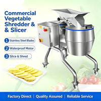 Commerciële voedsel-, groente- en fruitsnijmachine, -snijder, -hakselaar, -schaafmachine, automatisch, roestvrij staal, multifunctioneel