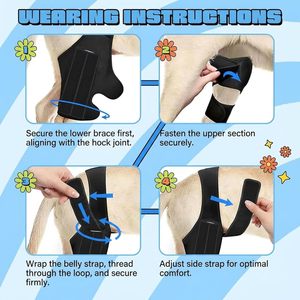 Dog Knee <b>Brace</b> Lightweight Support for Dog Hind Leg Dog ACL <b>Brace</b> for Torn ACL <b>Back</b> Leg No Slip Dog Leg <b>Brace</b> Pet Orthopedic Dog - Product Image 2