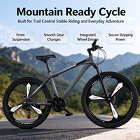 Vélo de montagne tout-terrain pour adultes de 26 pouces, 21 vitesses, frein à disque, fourche en acier, suspension avant, pédale ordinaire, écologique, capacité de charge de 160 kg