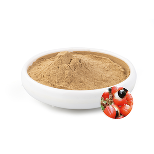 Poudre d'extrait de <span class=keywords><strong>Guarana</strong></span> en gros, qualité alimentaire, marque Ruiwo, en contenant plastique, meilleure vente - Product Image 1