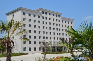 Nguồn Gốc Humera Loại Dầu Hạt Giống Đậu Nành Mè Làm Sạch Hạt Giống Và Phân Loại Máy - Product Image 4