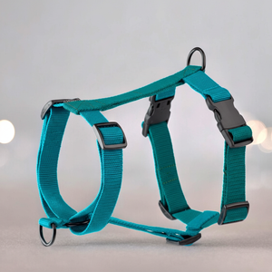 สายจูงสุนัขและแมวระดับพรีเมียมเป็นอุปกรณ์สำหรับเดินที่คุณชื่นชอบสำหรับสัตว์เลี้ยงของคุณพร้อมสายรัดสัตว์เลี้ยงที่มีสไตล์เหมาะสำหรับเด็กผู้ชายและเด็กผู้หญิง - Product Image 1