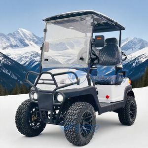 Nouveau modèle 2026 : Voiturette de golf électrique biplace, véhicule électrique populaire, véhicule électrique de tourisme - Product Image 2