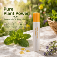 Vente en gros Marque privée Portable 13ml Stick anti-démangeaisons à base de plantes Gel botanique anti-moustiques pour enfants Essentiels de voyage