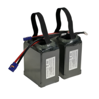 Batterie solide 420Wh/Kg 22.2V 6S 99000mAh Lipo pour EVTOL, drone industriel lourd, drone longue portée