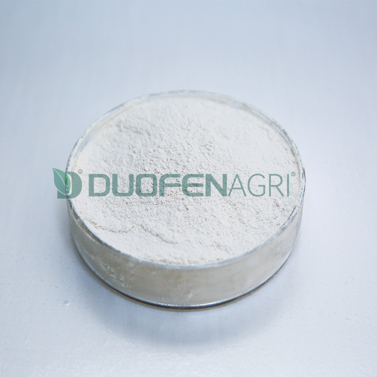 Wholesale Soluble Seaweed Extract Fertilizer Powder OEM image 3