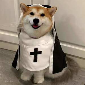 Disfraz <span class=keywords><strong>de</strong></span> <span class=keywords><strong>monja</strong></span> para mascotas, disfraz <span class=keywords><strong>de</strong></span> perro, gato, Navidad, Halloween, disfraz bonito, ropa para fotos, actuación <span class=keywords><strong>de</strong></span> fiesta <span class=keywords><strong>de</strong></span> viaje - Product Image 1