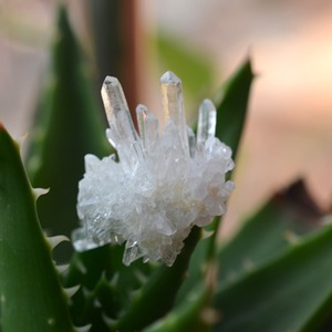 2-8 cm Naturel Brésilien Clair <span class=keywords><strong>Quartz</strong></span> Cluster de <span class=keywords><strong>Cristal</strong></span> Blanc en gros - Product Image 5