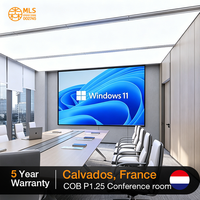 Écran LED COB P0.9, panneau d'affichage modulaire personnalisé, solution de mur vidéo pour les intégrateurs de systèmes, projets commerciaux et OEM ODM