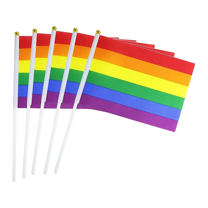 Any Design Custom Hand Waving Flag With Wooden Pole Pride Hand Held Flags