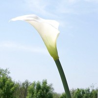 Calla Lily seperti hidup Gel lembut bunga buatan dekorasi rumah Model ruangan menampilkan karangan bunga pernikahan alat peraga fotografi
