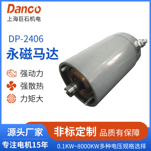 Motor de CC de imán permanente Dp2406, 2500 lb de torque, 2500 RPM, con escobillas, para uso en vehículos todoterreno. - Product Image 5