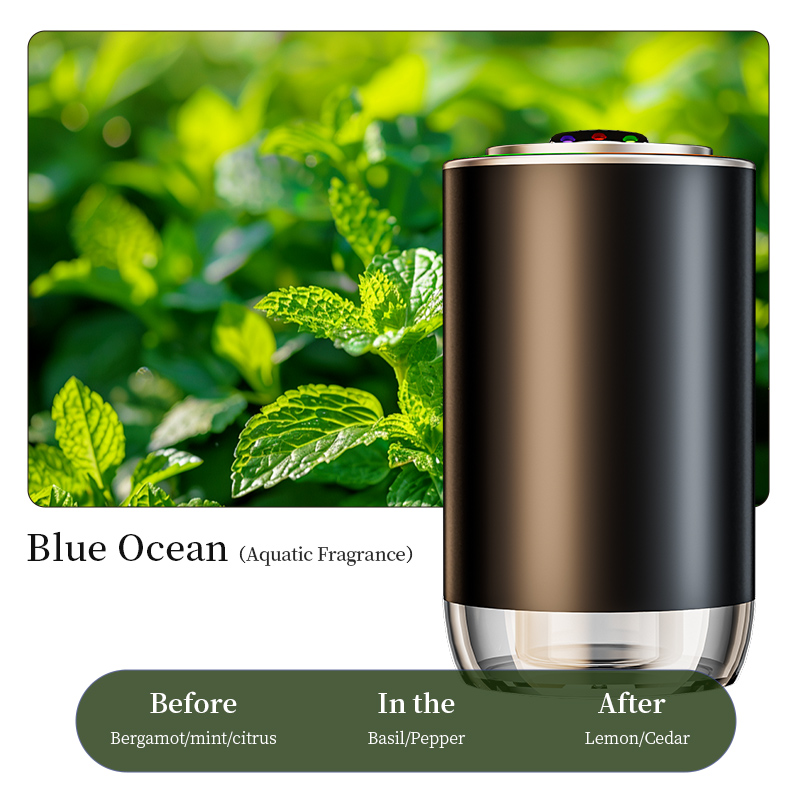 Z10 Bleu Océan
