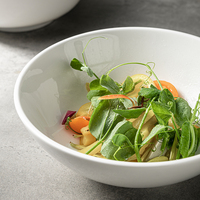 Passe au lave-vaisselle Vaisselle blanche classique bon marché Vaisselle pour Restaurant Hôtel Ménage Soupe en céramique Bol à salade en porcelaine