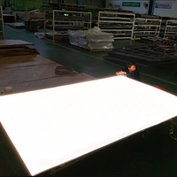 Plaque de guidage de lumière de feuille acrylique de LED de qualité optique blanche de fabricant en gros