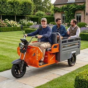Tricycle Écologique Conforme aux Normes Européennes, Batterie 60V, Charge Utile de 300 kg, E-trike Polyvalent avec Contrôle de Descente en Pente - Product Image 1